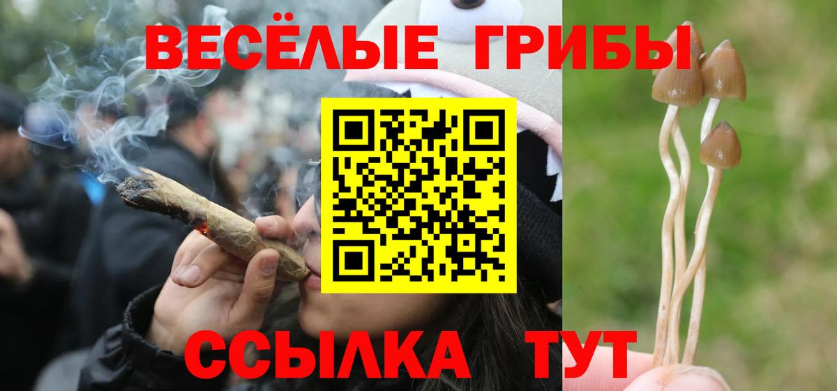 Псилоцибиновые грибы мухоморы Грозный
