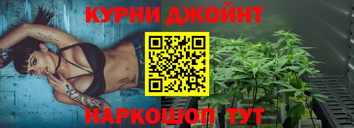 Каннабис тримм  Вход с VPN  Конопля SATIVA & INDICA  Канабис гибрид  Грозный 